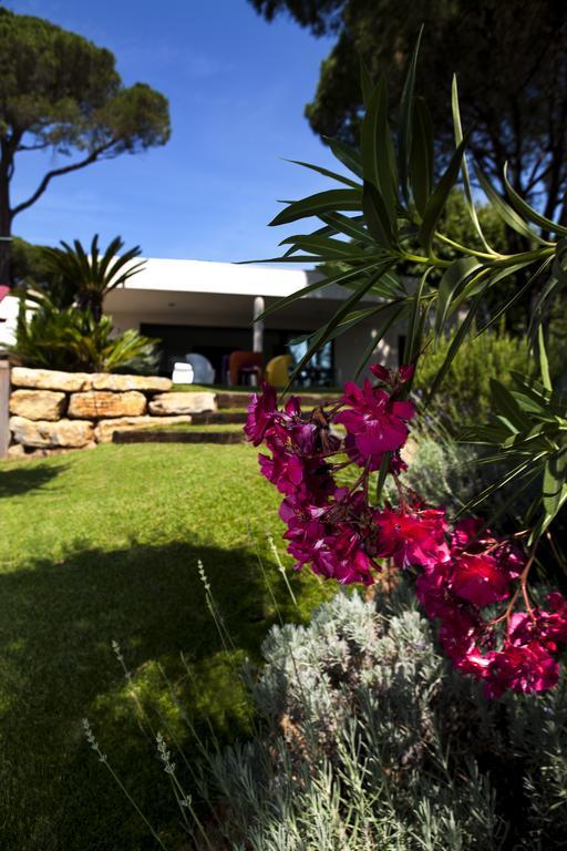 Villa Californie Sainte-Maxime Eksteriør billede