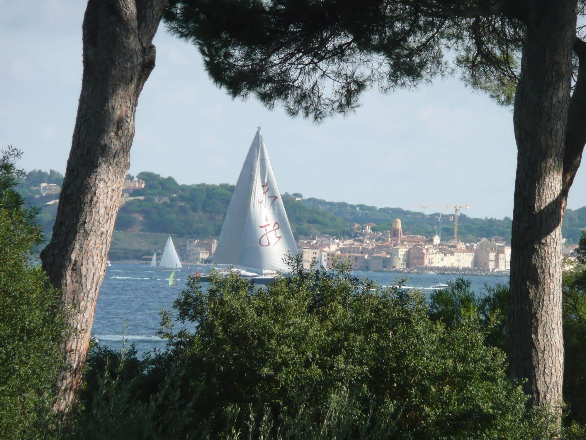 Villa Californie Sainte-Maxime Eksteriør billede